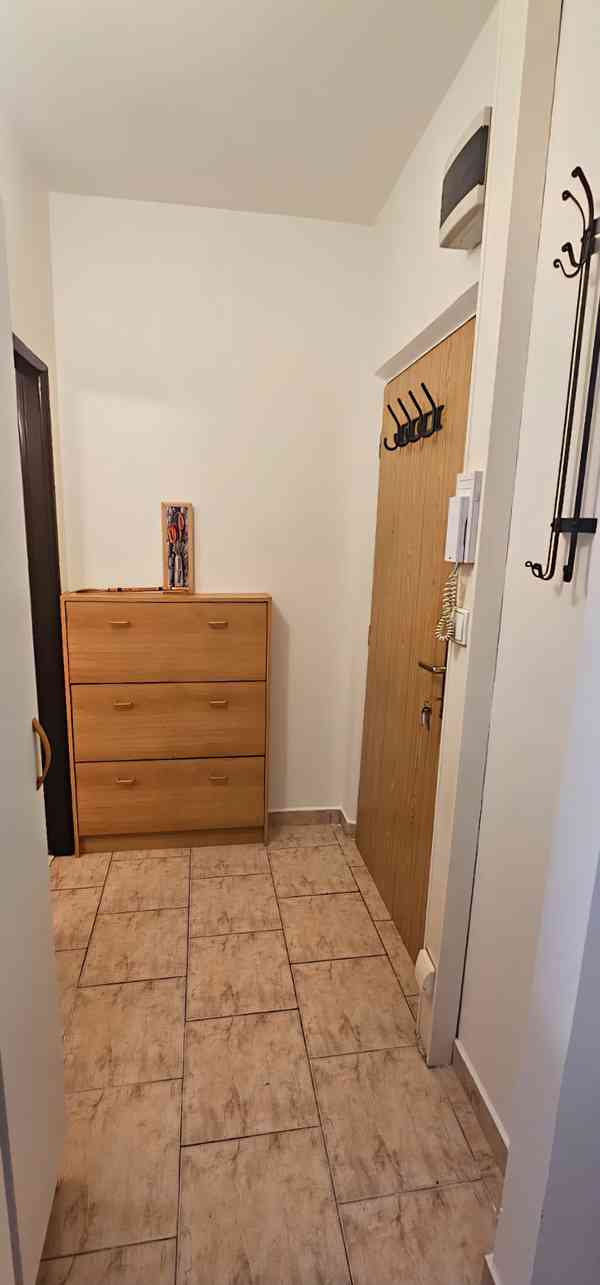 Pronájem garsonky Plzni bez provize zprostředkovatelů. - foto 9