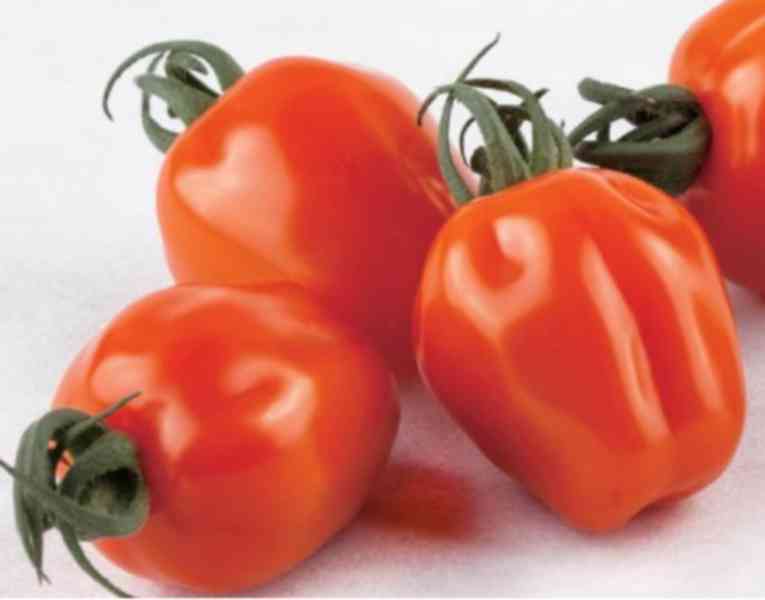 Sazenice rajče Appleberry F1 ORANGE - foto 1