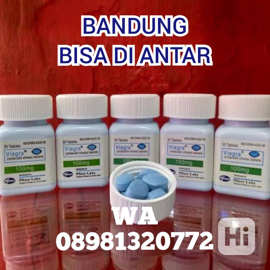Viagra Bandung 08981320772 Jual Pil Biru Usa Di Bandung - foto 1