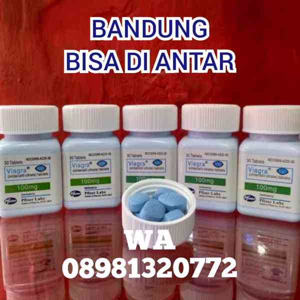 Viagra Bandung 08981320772 Jual Pil Biru Usa Di Bandung