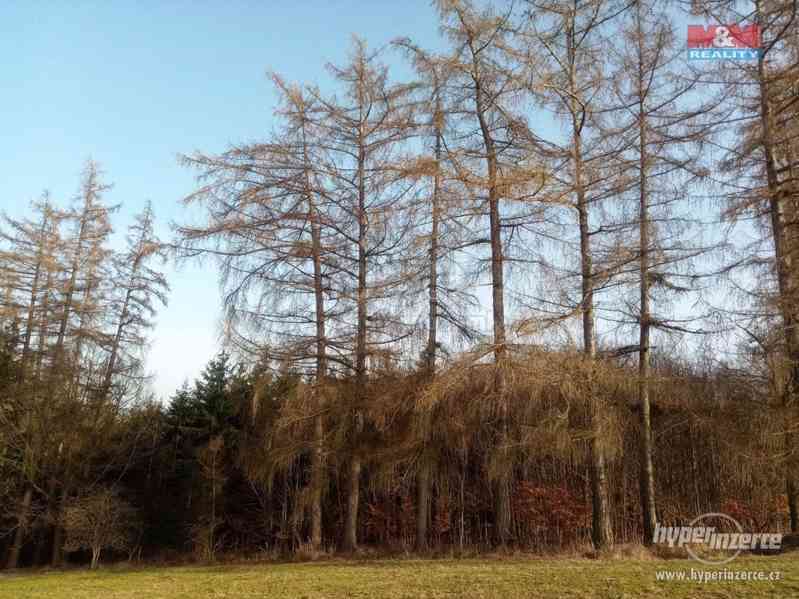 Prodej lesa, 103591 m?, Doudleby nad Orlicí - foto 4