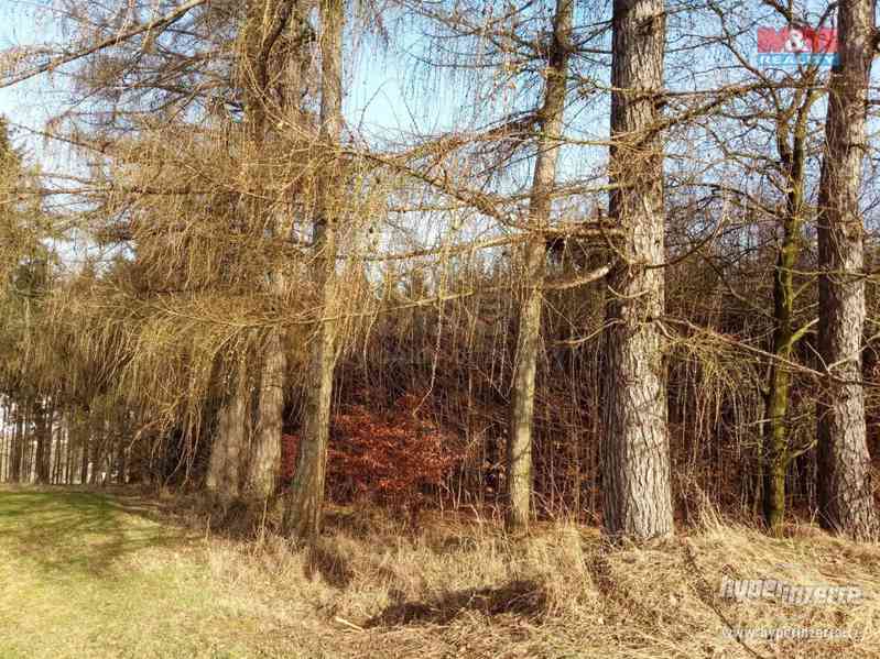 Prodej lesa, 103591 m?, Doudleby nad Orlicí - foto 7