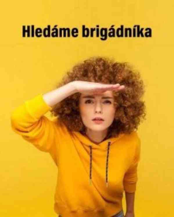 Hledáme brigádníka. - foto 1