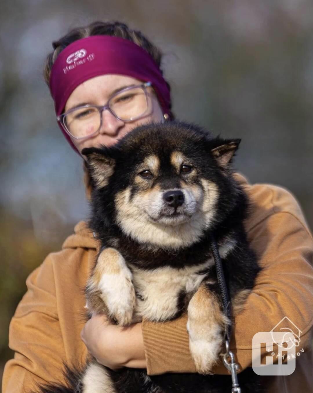 Hoshi a Yuko z útulku Voříškov - foto 1