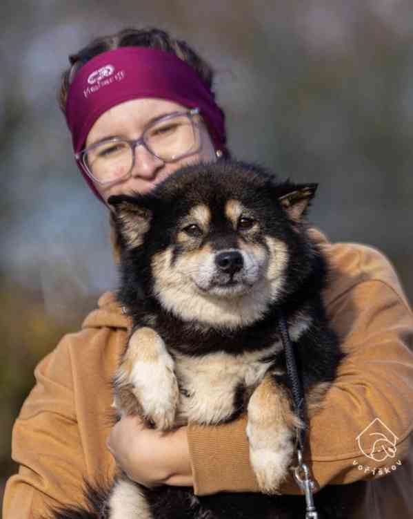 Hoshi a Yuko z útulku Voříškov - foto 1