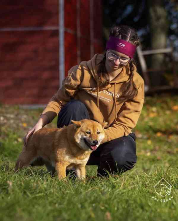 Hoshi a Yuko z útulku Voříškov - foto 2