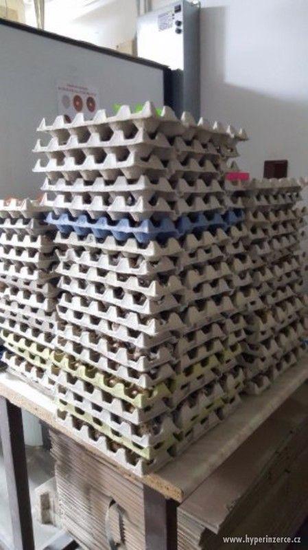 Násadová vejce křepelek - foto 1