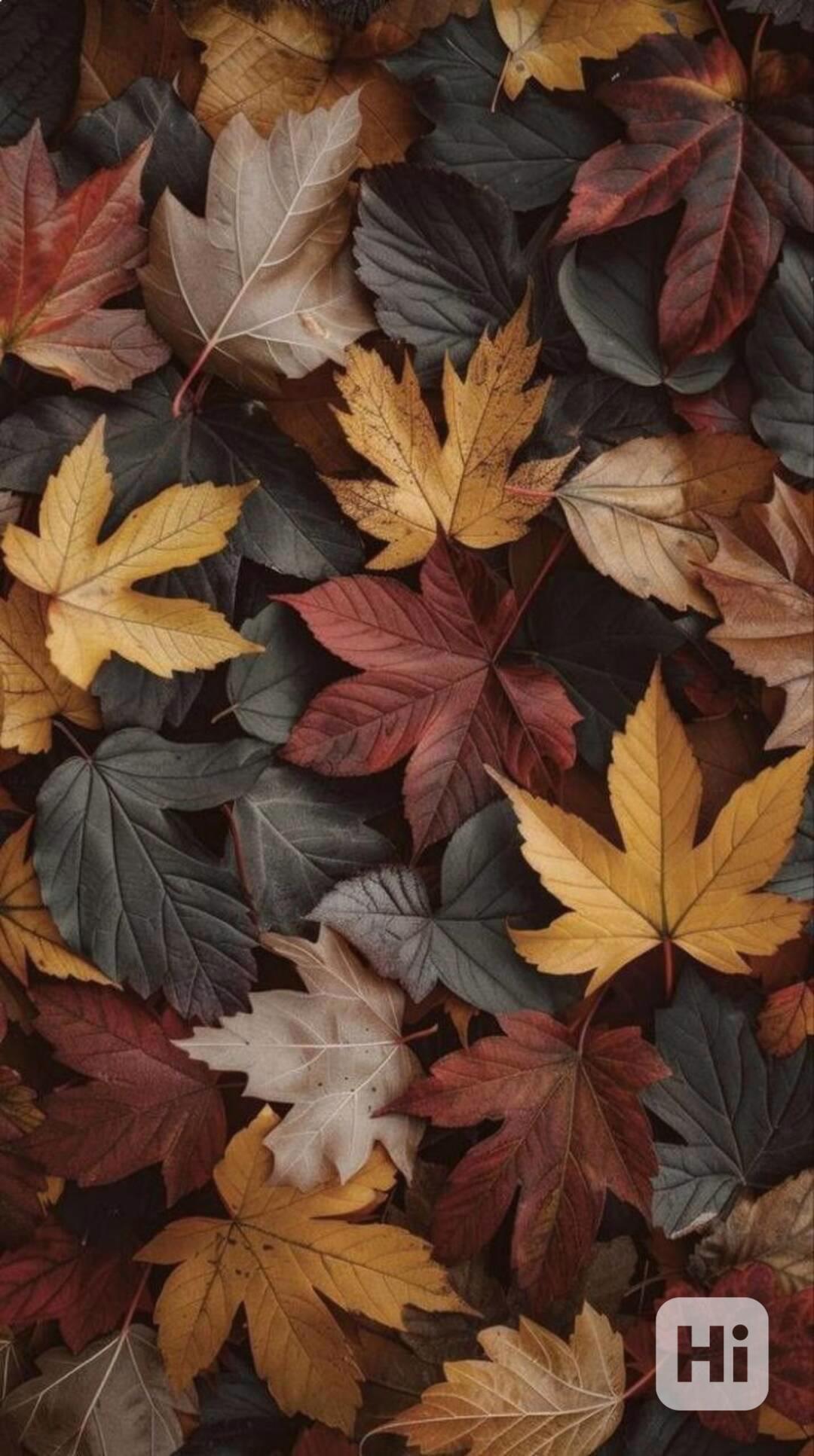 dfsdfdsf - foto 1