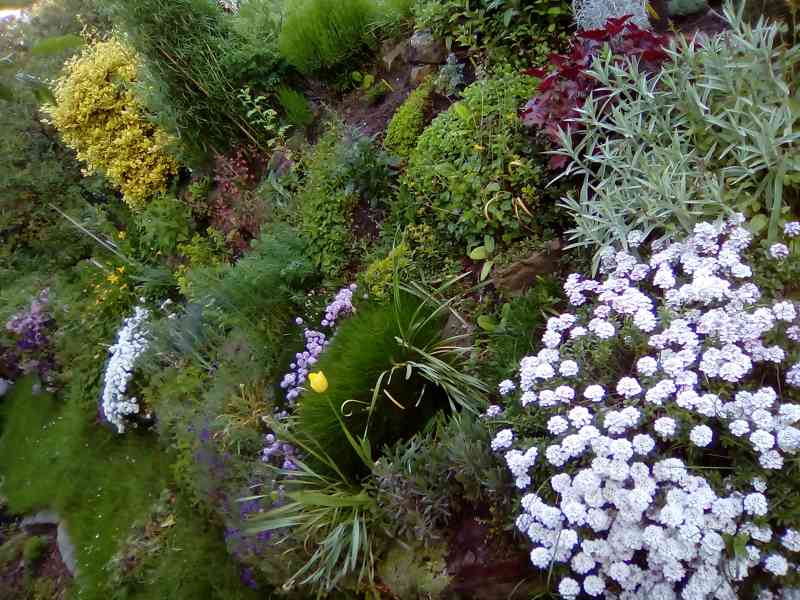 Praha 3 – zahrada 540 m² s novou chatou (2020)