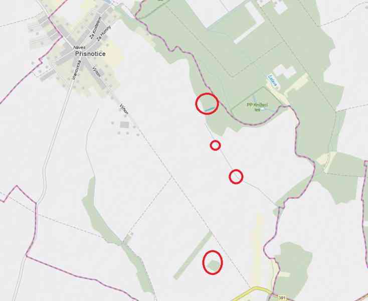 Prodej zemědělských a lesních pozemků - foto 3