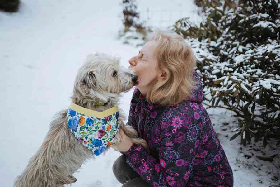 ŽERYK - 9 kg, kastrovaný psík 13 let  - foto 3