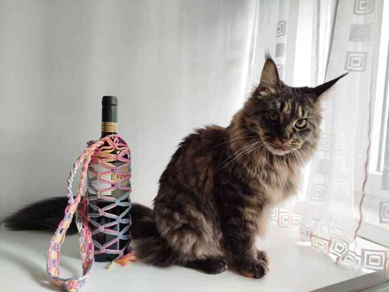 drhaná taška na lahev macramé vícebarevná - foto 5