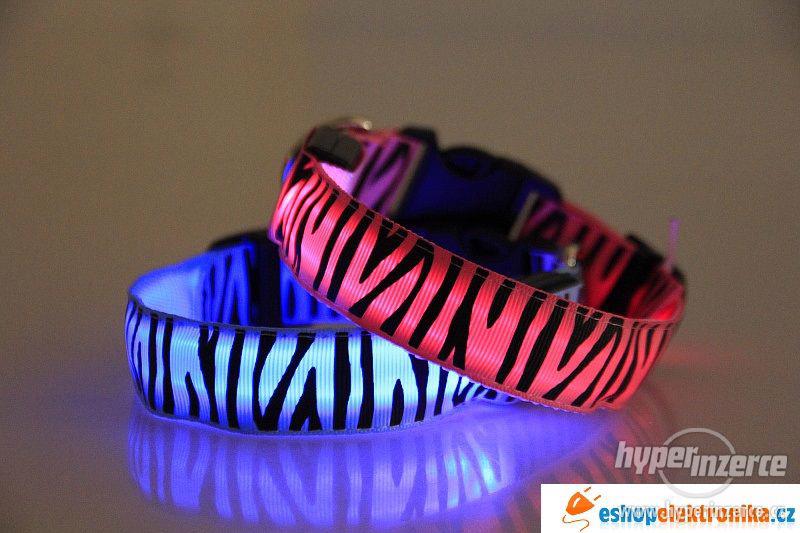 Nový svítící obojek na psa Zebra Flashing, různé barvy M, L - foto 1