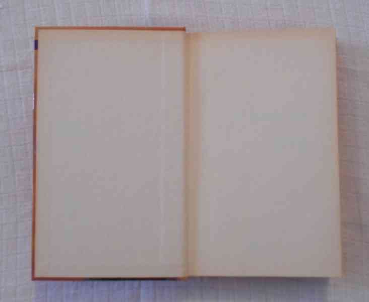 Francine Riversová - Vykoupená láska - Ikar 1999 - foto 2