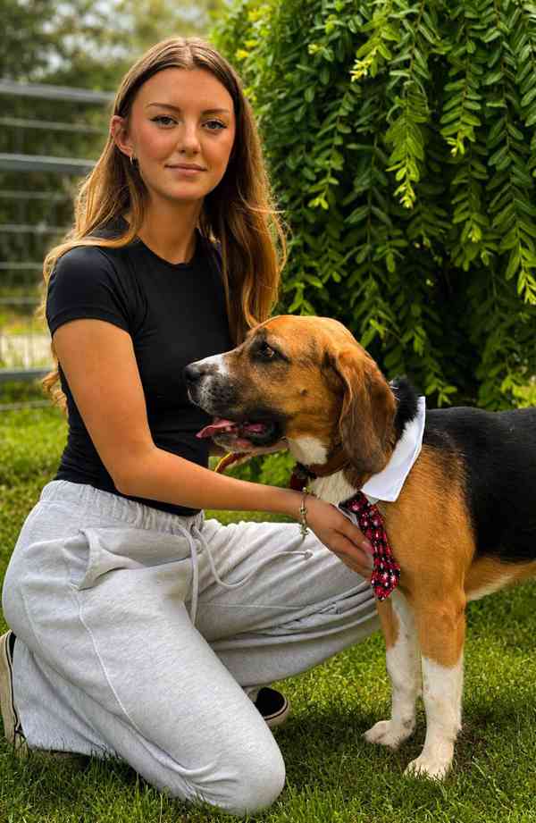 BENY - kastrovaný psík 2 roky  - foto 3