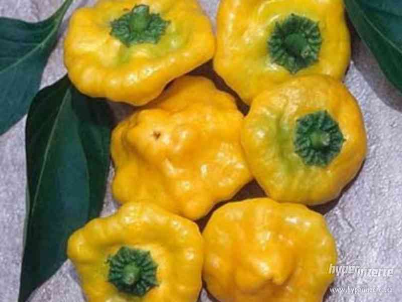 Chilli Jamaican Yellow - semena - foto 1