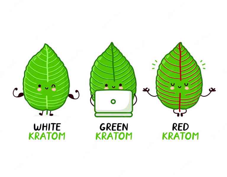 KRATOM(Mitragyna Speciosa) - foto 3