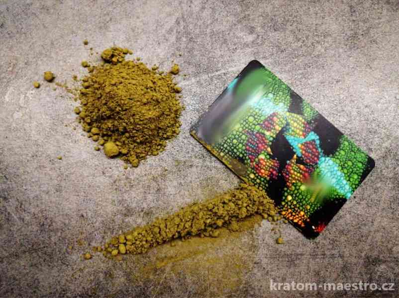 KRATOM(Mitragyna Speciosa) - foto 1