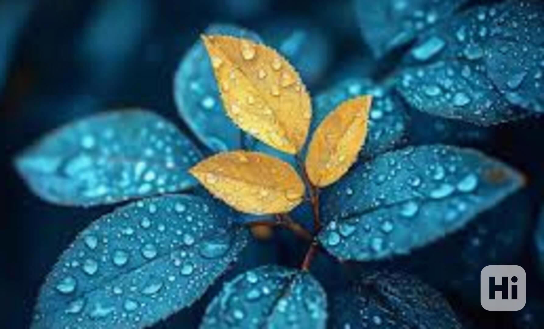 sfsdefdrgrgtrtgre - foto 1