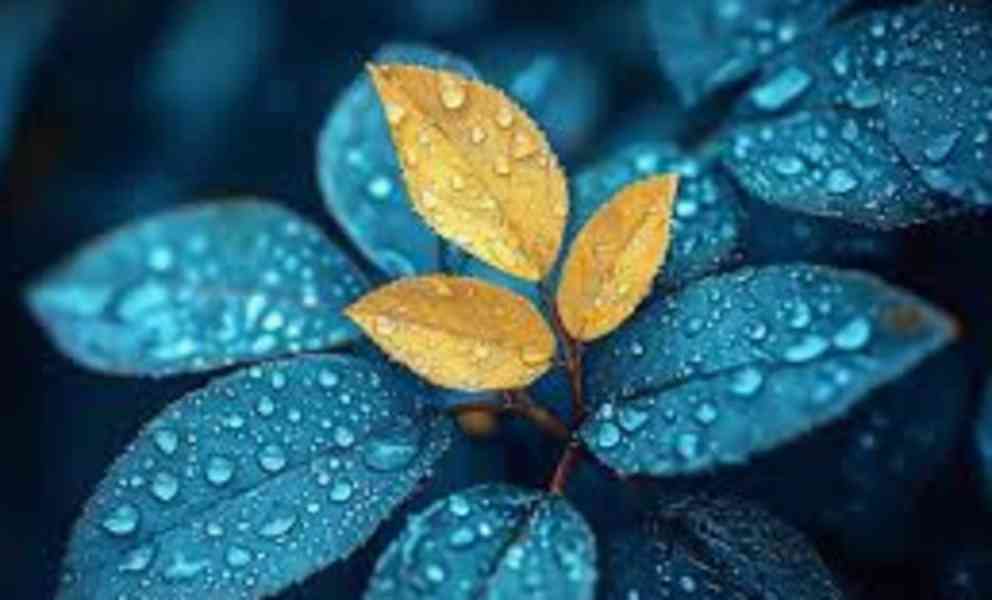 sfsdefdrgrgtrtgre - foto 1