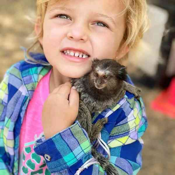 🌟 Kosman trpasličí na prodej