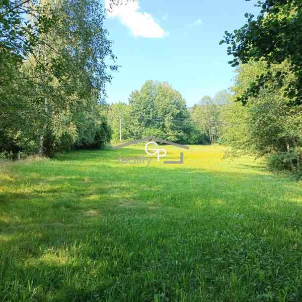 Prodej louky u obce Krasetín - Holubov - foto 4