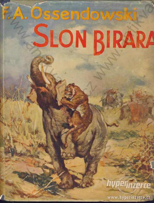 Slon Birara F. A. Ossendowski Novina, Praha 1935 - foto 1