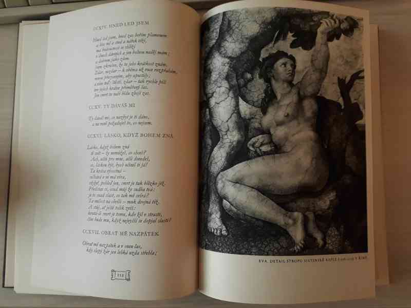  Michelangelo - Titan a člověk, Výbor díla (vyd. 1941)  - foto 6