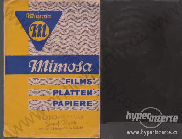 Mimosa - Films Platten Papiere neg. fotografie - foto 1