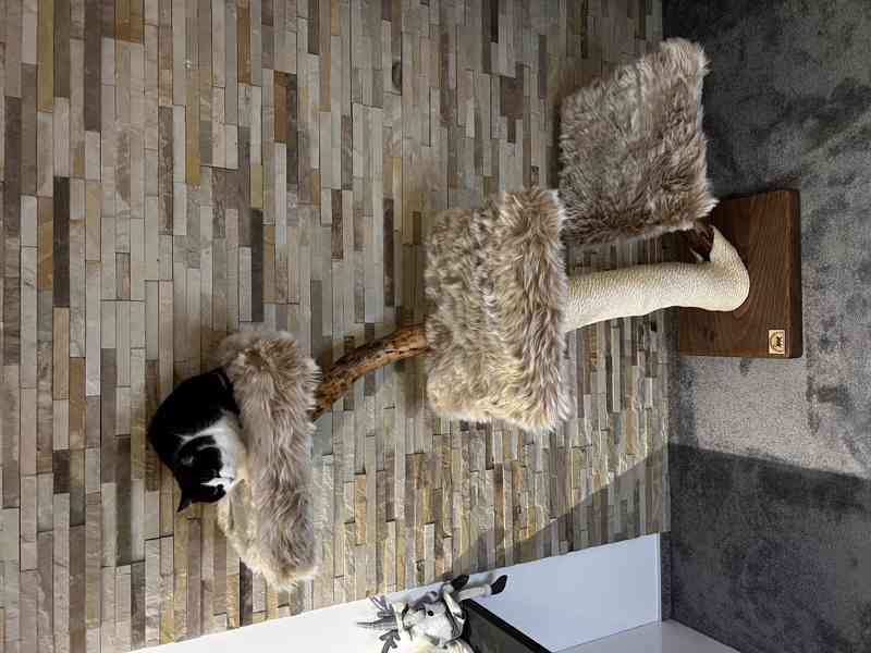 Škrabadlo pro velké kočky  - foto 3