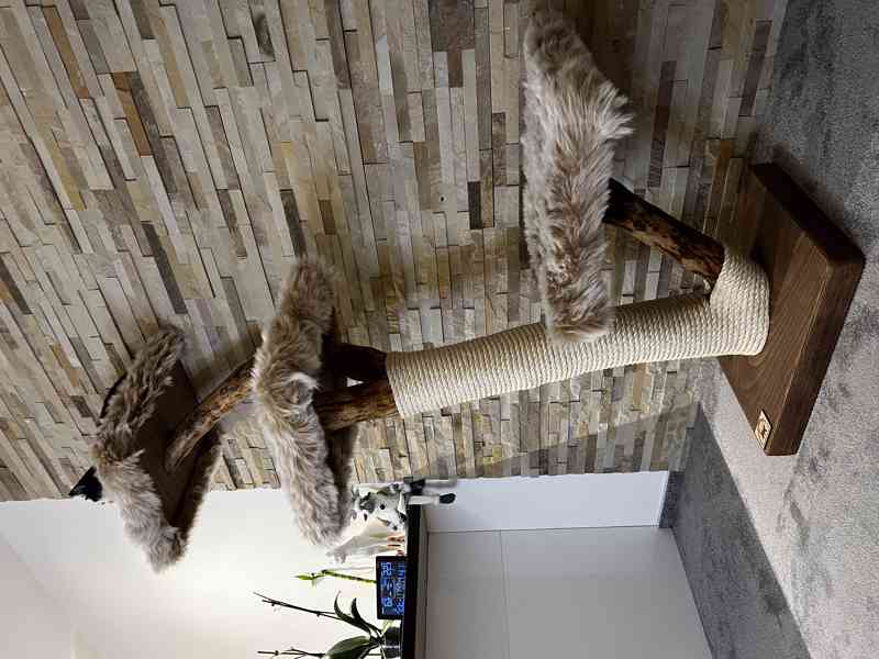 Škrabadlo pro velké kočky  - foto 2