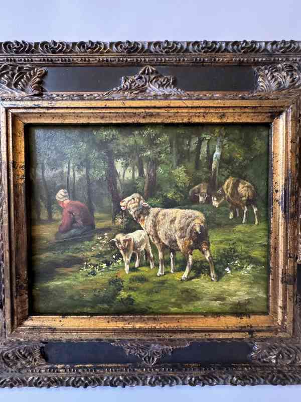Ovce jehňátko - obraz ve zlatém zdobeném rámu - foto 2