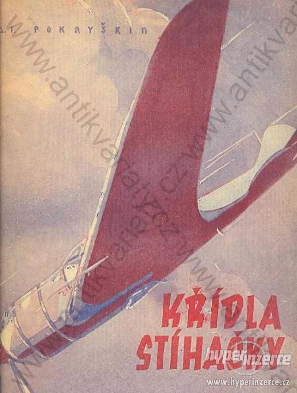 Křídla stíhačky A. I. Pokryškin 1945 - foto 1