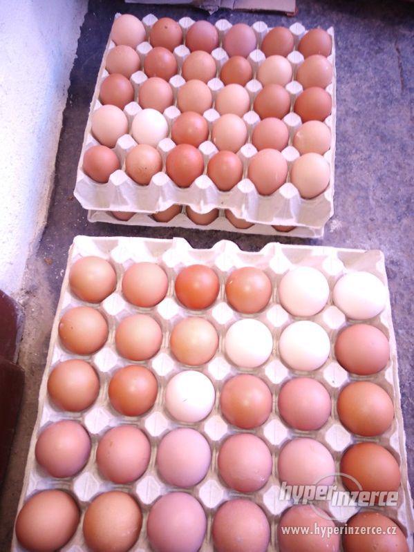 Vajíčka Domácí 1 kus za 3 Kč M - foto 1