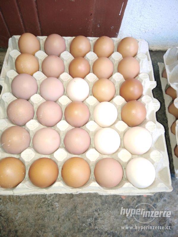 Vajíčka Domácí 1 kus za 3 Kč M - foto 2