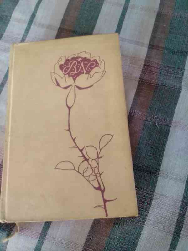 Vybrané spisy Boženy Němcové - povídky - foto 1