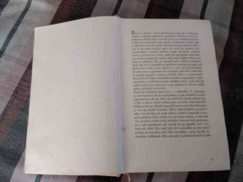 Vybrané spisy Boženy Němcové - povídky - foto 3