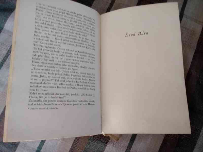 Vybrané spisy Boženy Němcové - povídky - foto 4