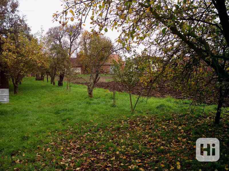 Pronájem zahrady s chatkou v Hošticích - foto 13