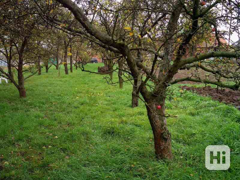 Pronájem zahrady s chatkou v Hošticích - foto 8