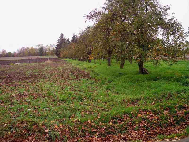 Pronájem zahrady s chatkou v Hošticích - foto 2