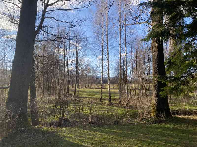 Koupím louku, pole nebo ovocný sad - foto 3