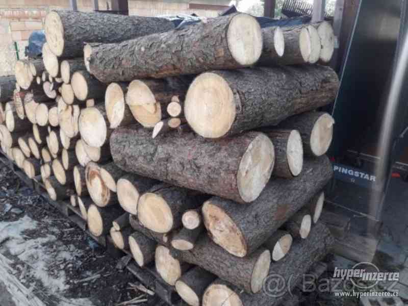 Palivové dřevo - suché - foto 2