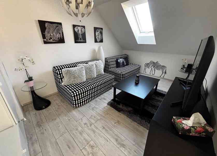 Pronájem RD Mikulov, 2 byty, 130m2, sklep - foto 9