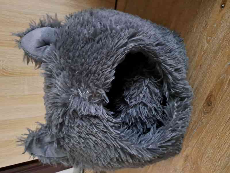 Potřeby pro kočky  - foto 4