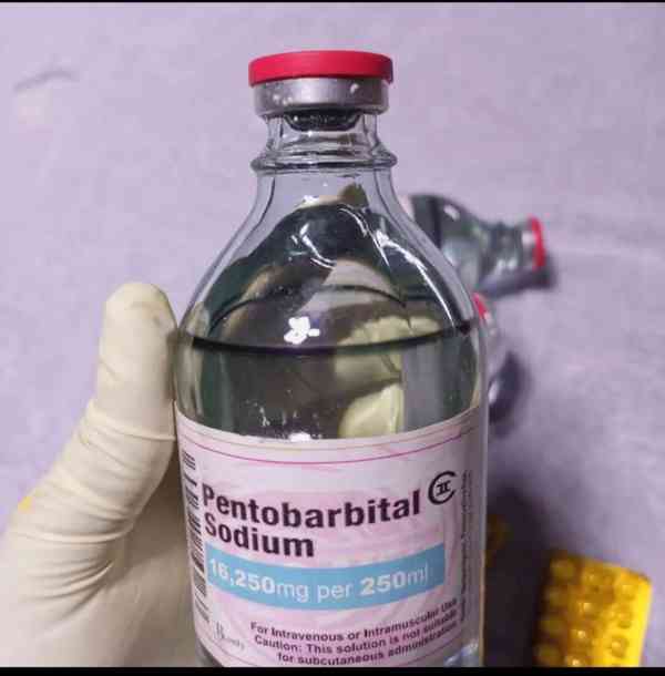 comprar nembutal pentobarbita en líne Whatsapp:+31647643738 - foto 1