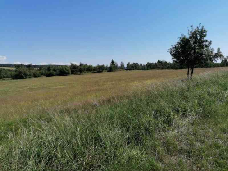 Pozemek 6 ha pro rekreaci, ranč, bydlení apod. - foto 10