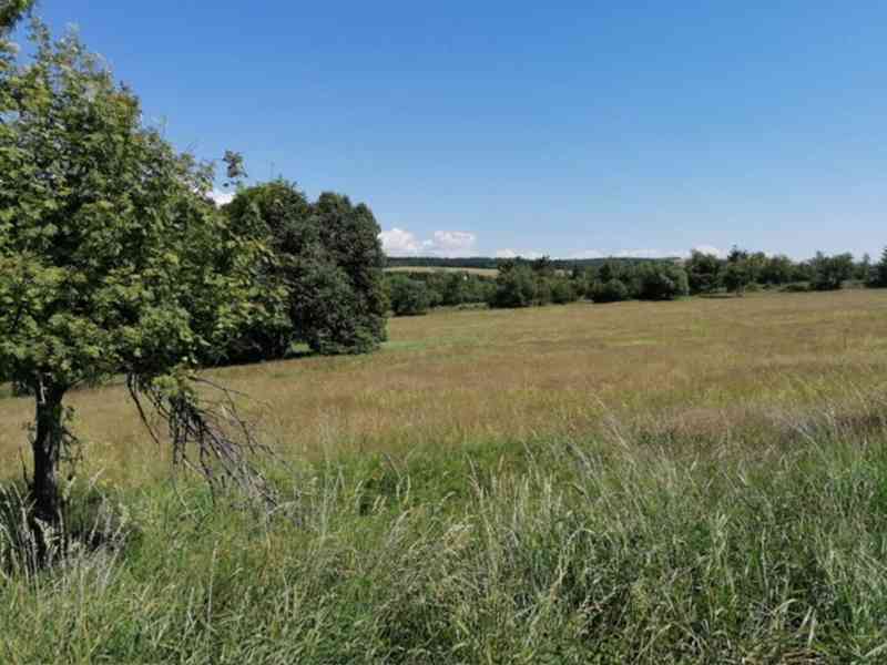 Pozemek 6 ha pro rekreaci, ranč, bydlení apod. - foto 5