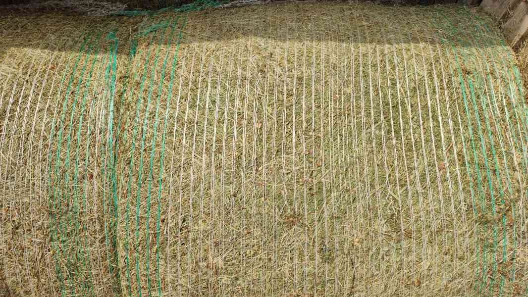 PŘIVEZEME VÁM BIO SENO NEJVYŠŠÍ KVALITY CERTIFIKOVANÉ SKLADO - foto 5