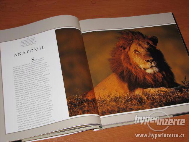 NOVÁ kniha * Jaké to je být lvem * - foto 8